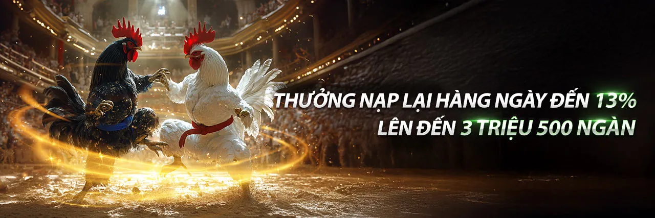 Đá gà trực tuyến kịch tính tại one88 chính thức