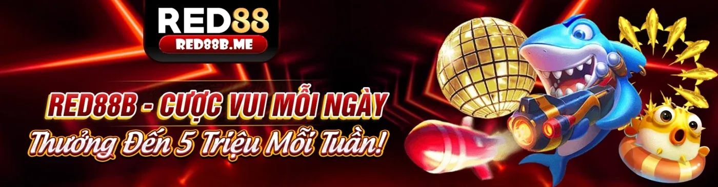 Sản Phẩm Đa Dạng và Hỗ Trợ Đối Tác